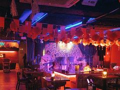 -夜火烤摊·东北烧烤酒场·老杨小黄鱼