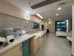 -致友月子会所(麓湖店)