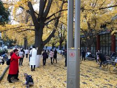 -四川大学(华西校区)