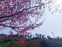 -径山寺