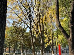 -西北湖绿化广场