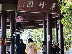 -杭州半山国家森林公园