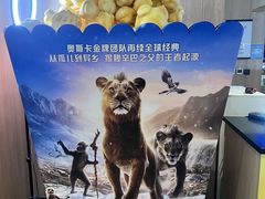 -SFC上影影城(港汇永华IMAX激光店)