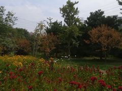 景点-立水桥公园