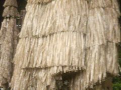 -北丐先生·野馄饨烧烤(长宁龙之梦店)