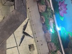 -春盛渔府(牛首山店)