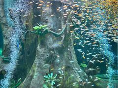 -合肥海洋世界