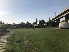 -秀丽东方