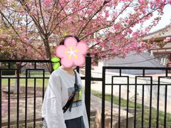 -西安青龙寺遗址景区