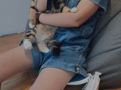 -啵啵喵·猫咖(攀华国际店)