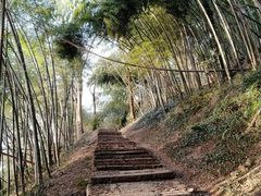 -西湖风景区十里琅珰-五云山