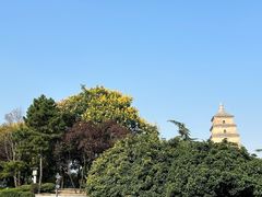 -大慈恩寺(大雁塔)