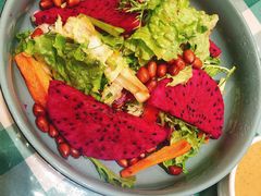 紫光大拌菜-紫光园·烤鸭(吕家营店)