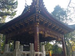 -汇龙潭