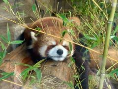 -东部华侨城