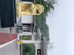 -金狮洞国家地质公园