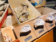 -普朗姆生蚝吧(原建国路店)
