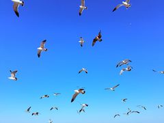 -烟台百纳瑞汀酒店