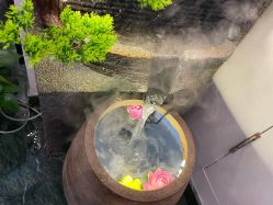 -阅年轻·AI家庭健康体质调理