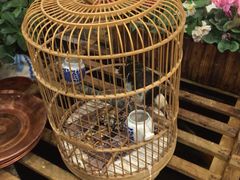 iphone_upload_pic-郭家大院(新源店)