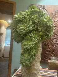 -娇玫荟SPA
