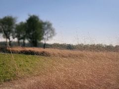 -汉长安城未央宫国家考古遗址公园