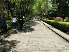 -邓小平故里