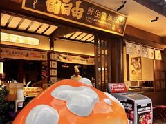 -菌自由丨野生菌火锅特色庭院餐厅(丽江古城店)