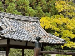 -醍醐寺