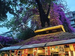 -川白楼·老成都院坝川菜鱼鲜馆(马鞍路店)