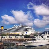一直都希望能够到日本参观旅游，这个樱花围绕