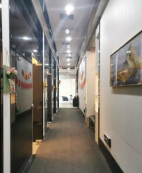 -DEM缔怡美科技美容