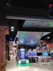 -卡通尼·Safari非洲探索乐园·生日会(金桥国际商业广场店)