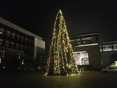 -上海崇明金茂凯悦酒店