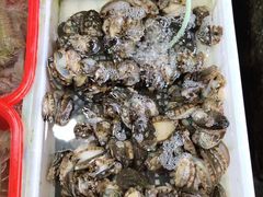 鲍鱼-都斛海鲜街