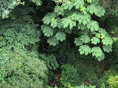 -青岛崂山太清宫