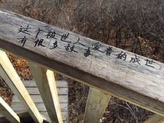 -帽儿山国家森林公园