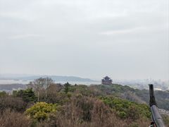 -雷峰塔景区