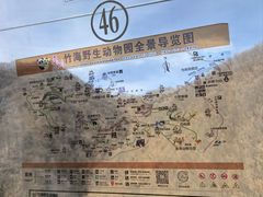 -栾川竹海野生动物园