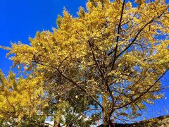 -金堂县云顶石城风景区