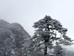 -终南山国家森林公园