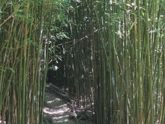 -井空里大峡谷