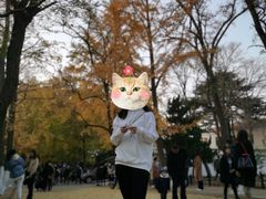 -八大关景区