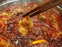 -小王少龙火锅(沙南街店)