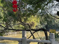 -小洲村