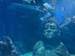 -暹罗海洋世界