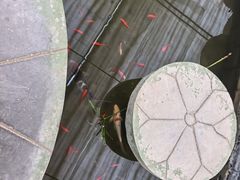 -南和农业嘉年华