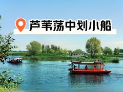 -白洋淀景区