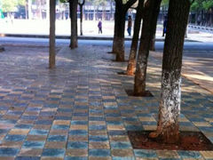 android_upload_pic-南华大学(红湘校区)