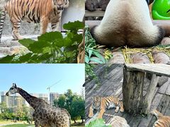-广州长隆野生动物世界
